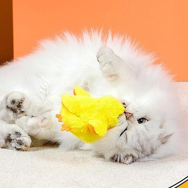 اسباب بازی اردک صدا دار شارژی و بال زن به همراه کت نیپ