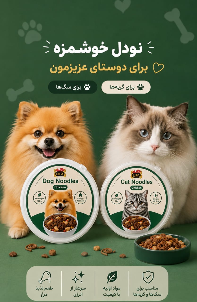 نودل گربه لیپا با طعم مرغ وزن ۵٠ گرم