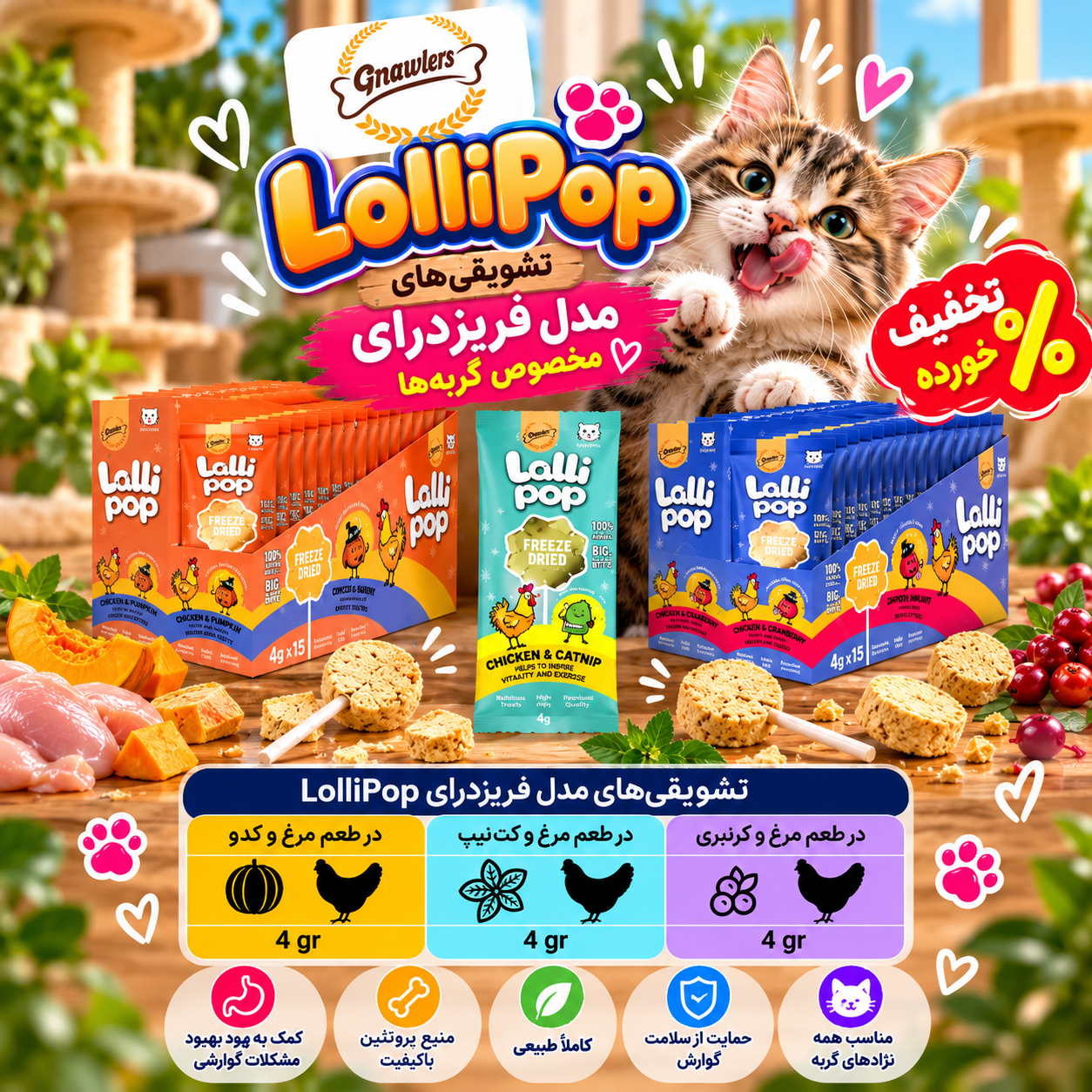تشویقی های فریز درای مدل آبنبات Lollipop گناولز در ٣ طعم