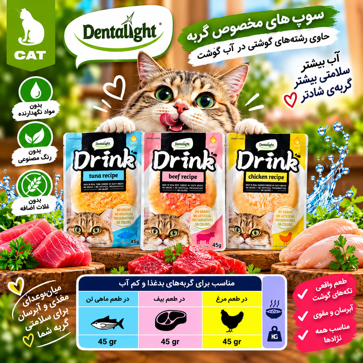 سوپ گربه دنتالایت در 3 طعم Dentalight Drink وزن ۴۵ گرم